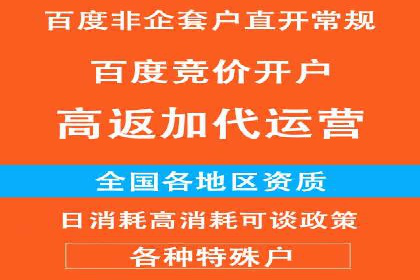推广竞价策略优化：借鉴成功案例实现精准营销